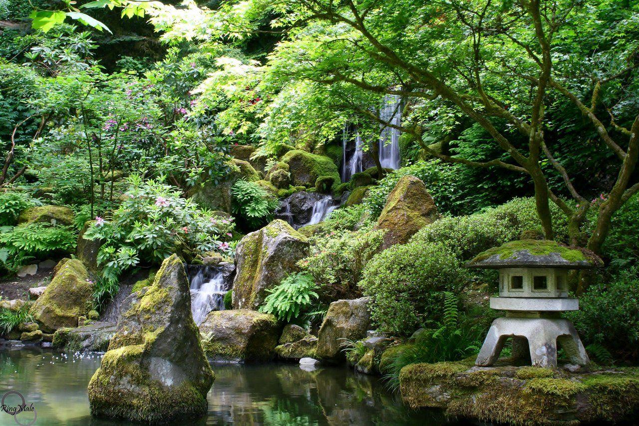 Japanese Waterfall Wallpapers - Top Free Japanese Waterfall Backgrounds ...