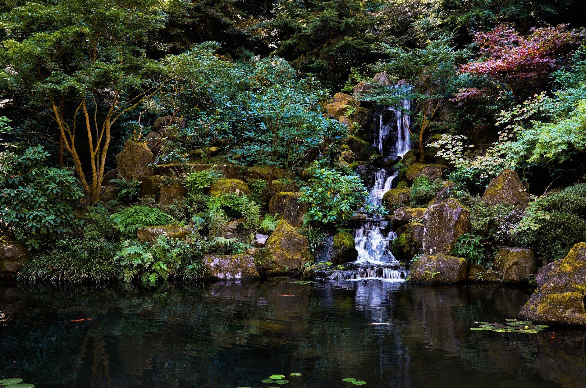 1920x1271 japanese garden waterfall stones tree pond park HD wallpaper