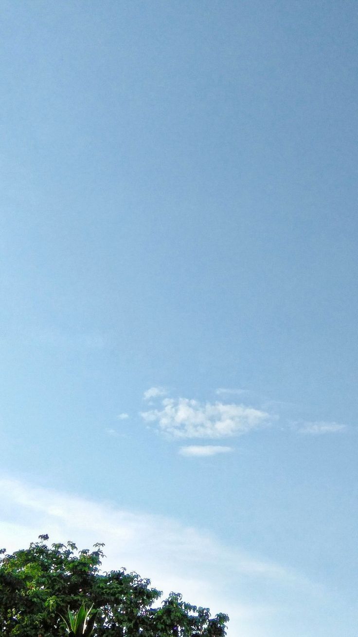 736x1307 Blue skies