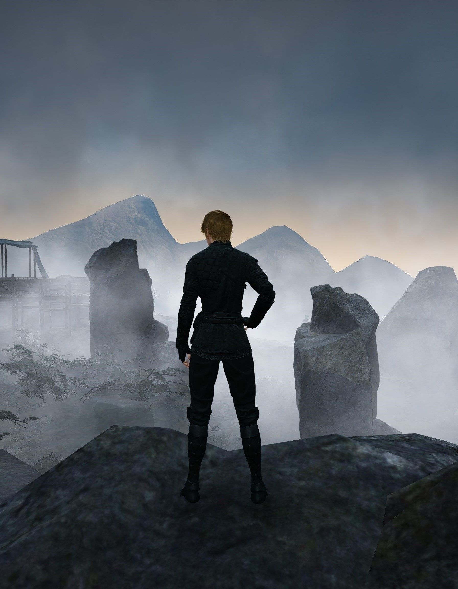 1792x2303 Screenshots & Clips] [Painting] Der Wanderer über dem Nebelmeer. Black Desert Southeast Asia