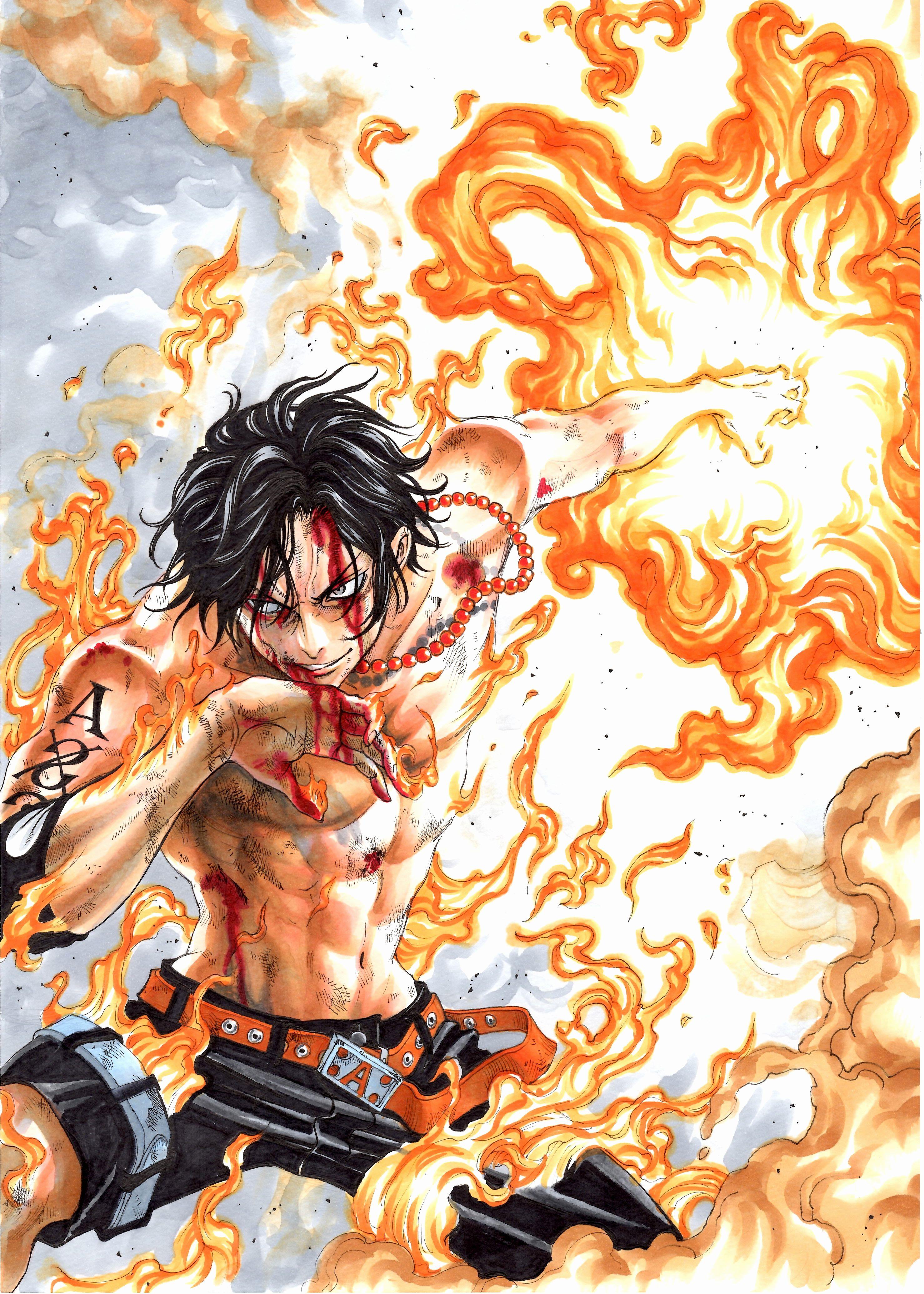 Download 25 Wallpaper One Piece Marco terbaru 2019