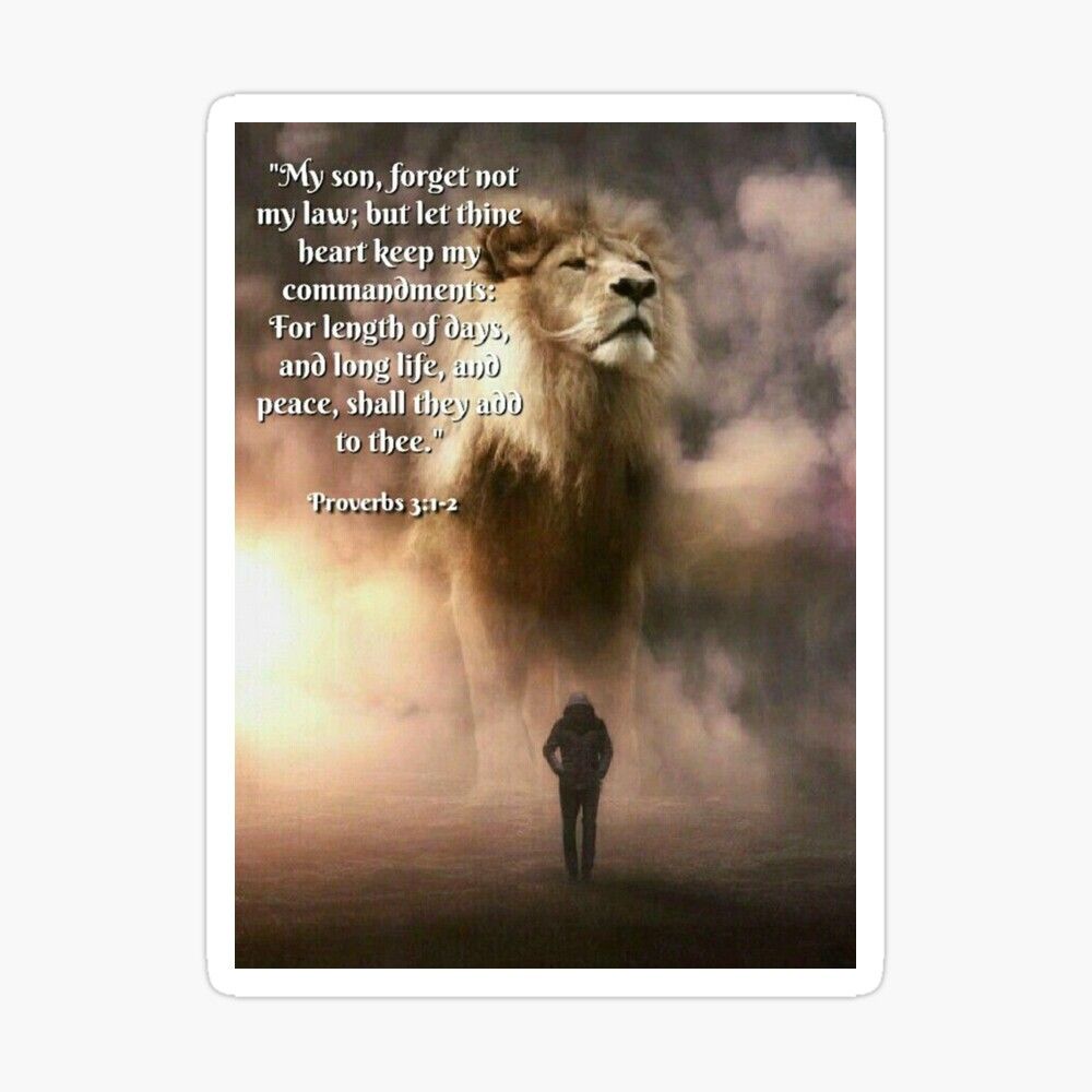lion-attitude-wallpapers-top-free-lion-attitude-backgrounds