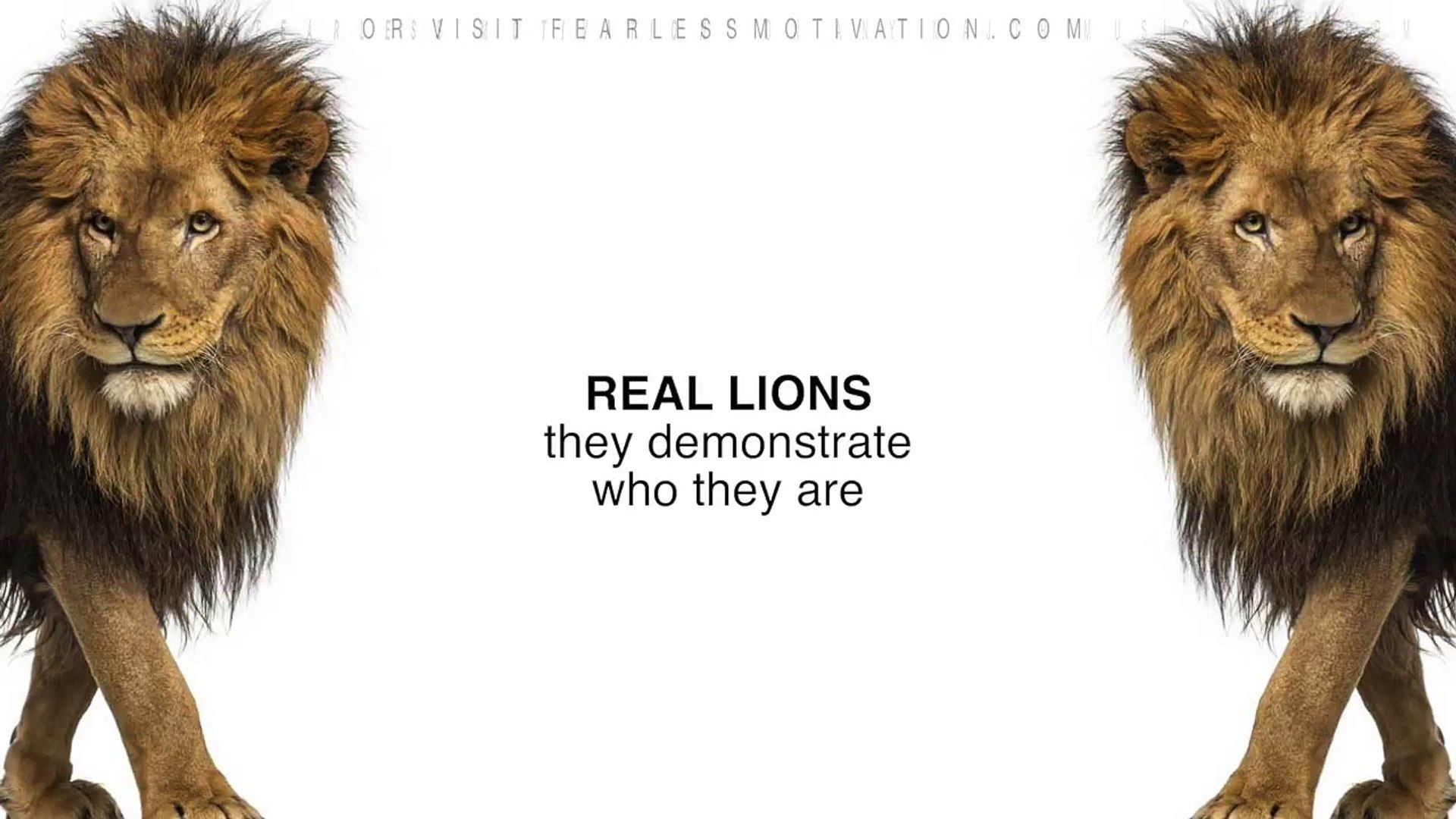 1920x1080 The Lion Attitude (HEART OF A LION) Motivational Video