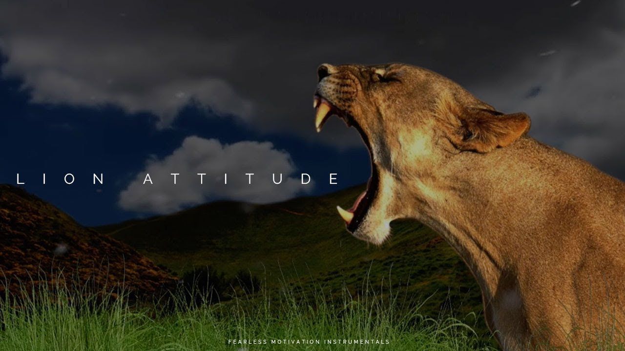 1280x720 Lion Attitude Wallpaper
