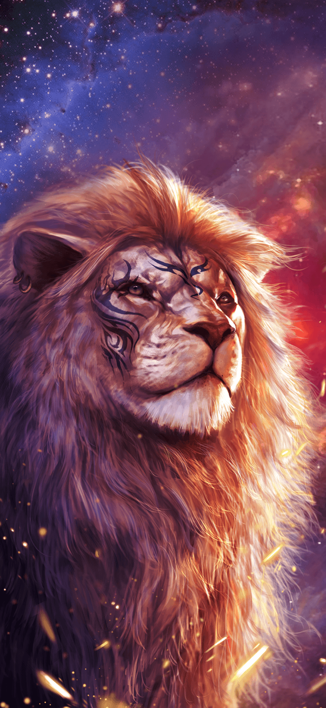 1080x2340 Lion Mobile Wallpaper, HD Lion Background, Free Image Download