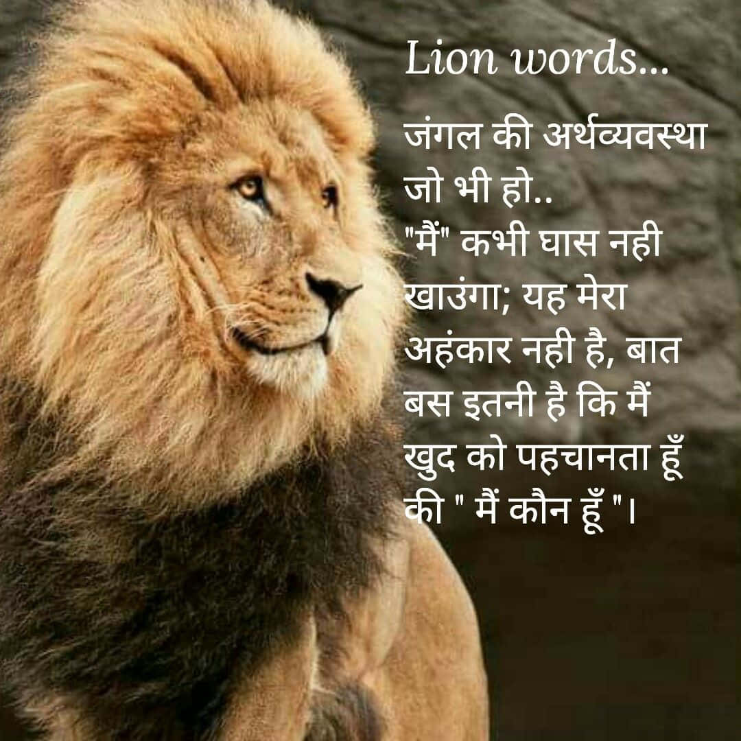 1080x1080 Download A lion never retreats from combat Wallpaper