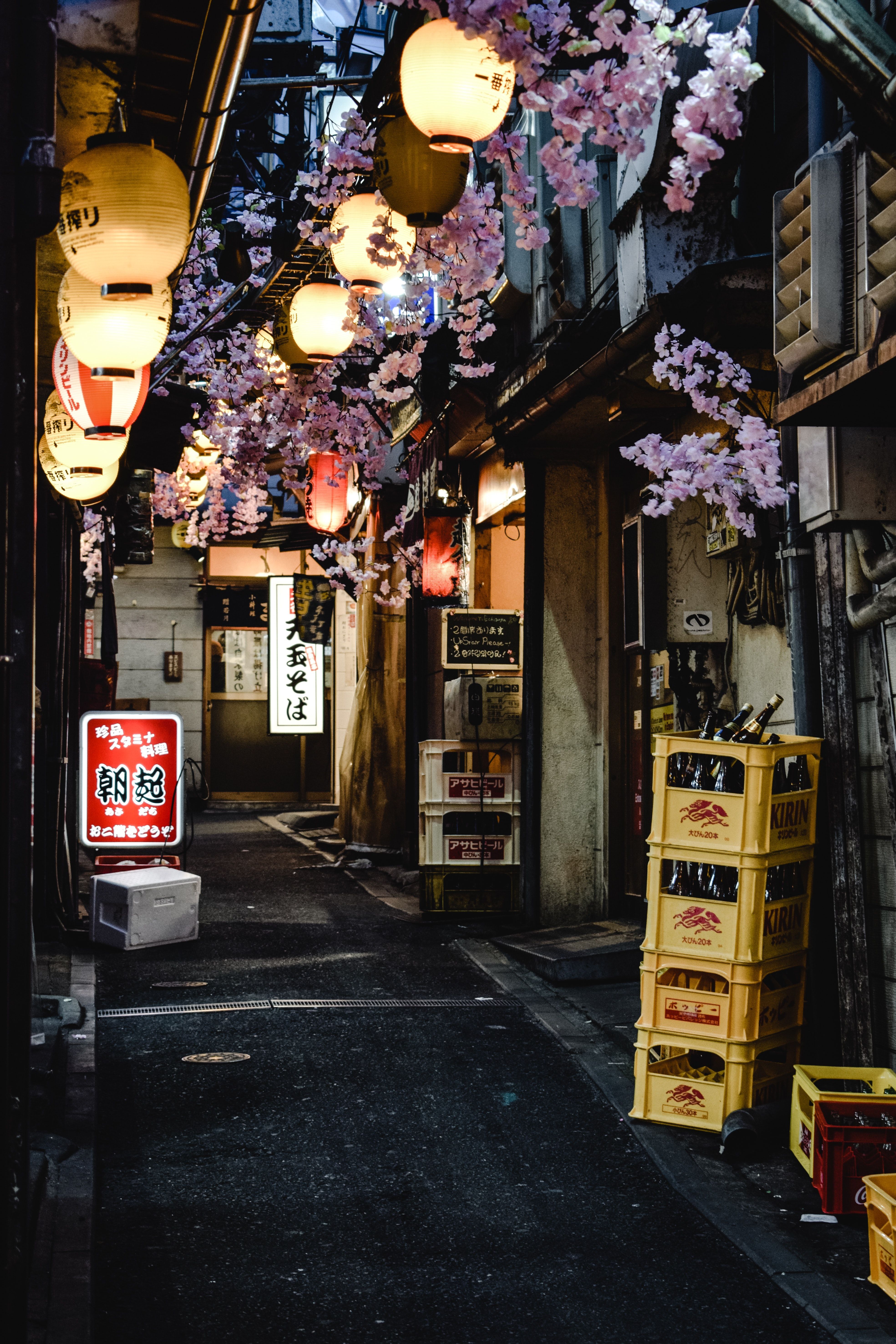 3937x5906 Izakaya Photo, Download The BEST Free Izakaya & HD Image