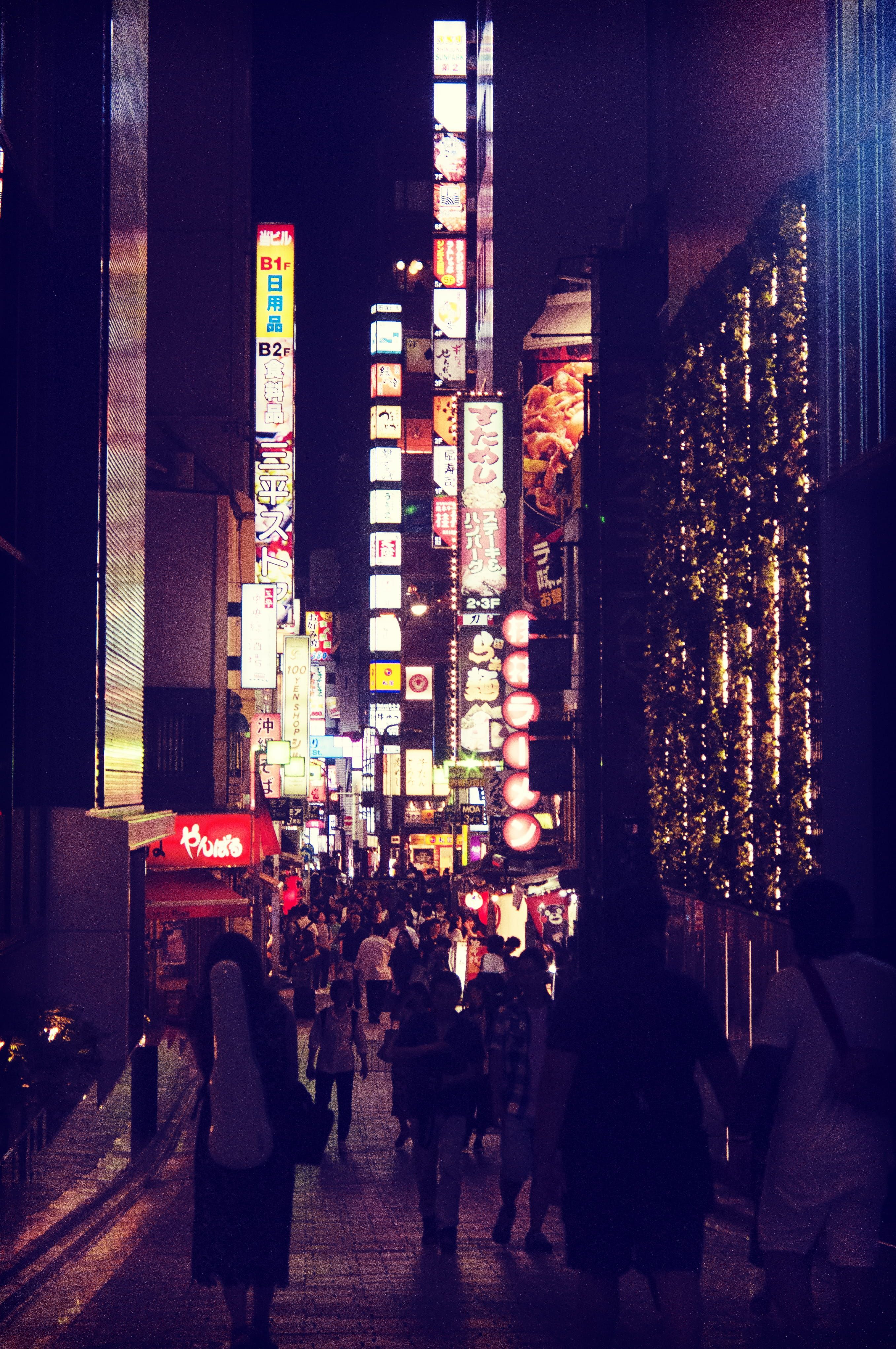 2713x4085 izakaya 1080P, 2k, 4k Full HD Wallpaper, Background Free Download