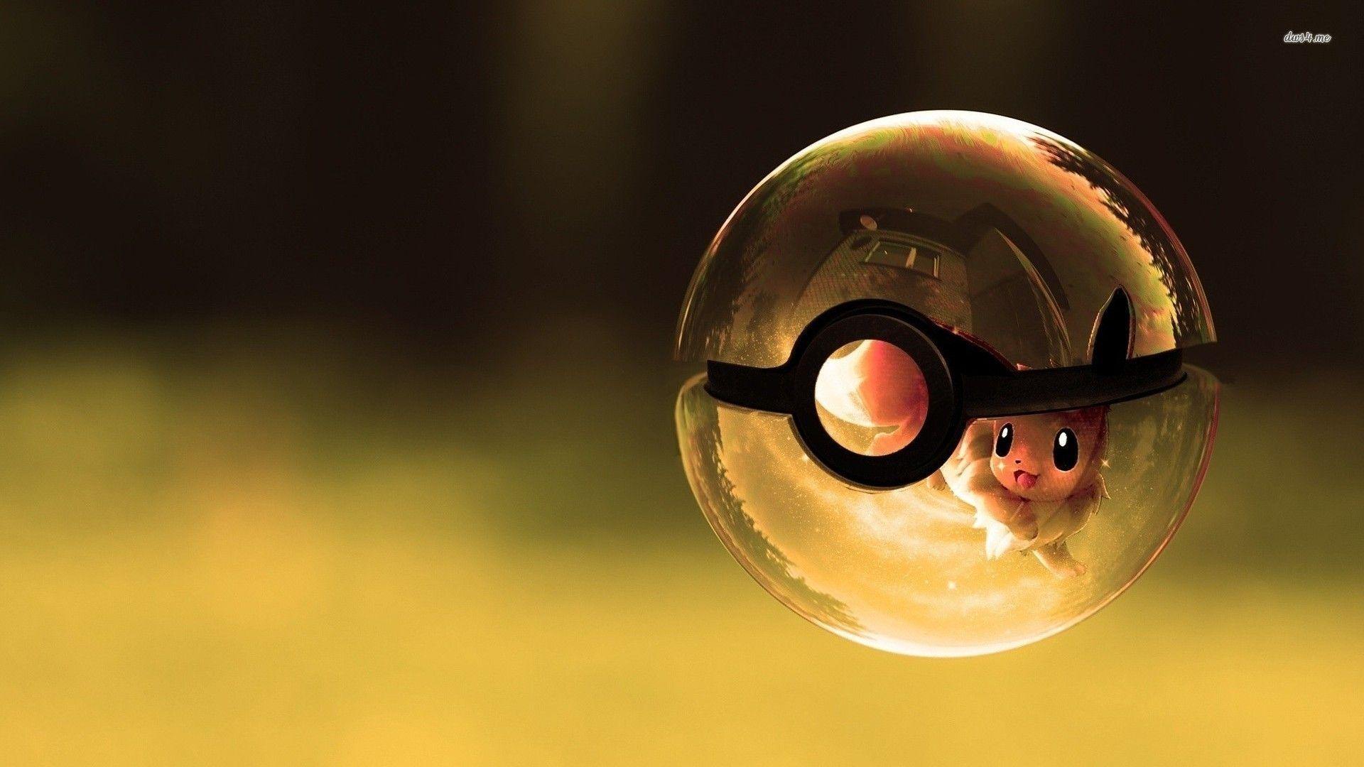 squirtle with pokeball