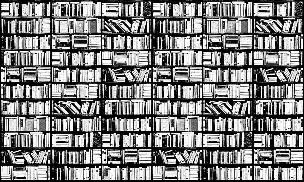 1165x699 Bookshelf Black White
