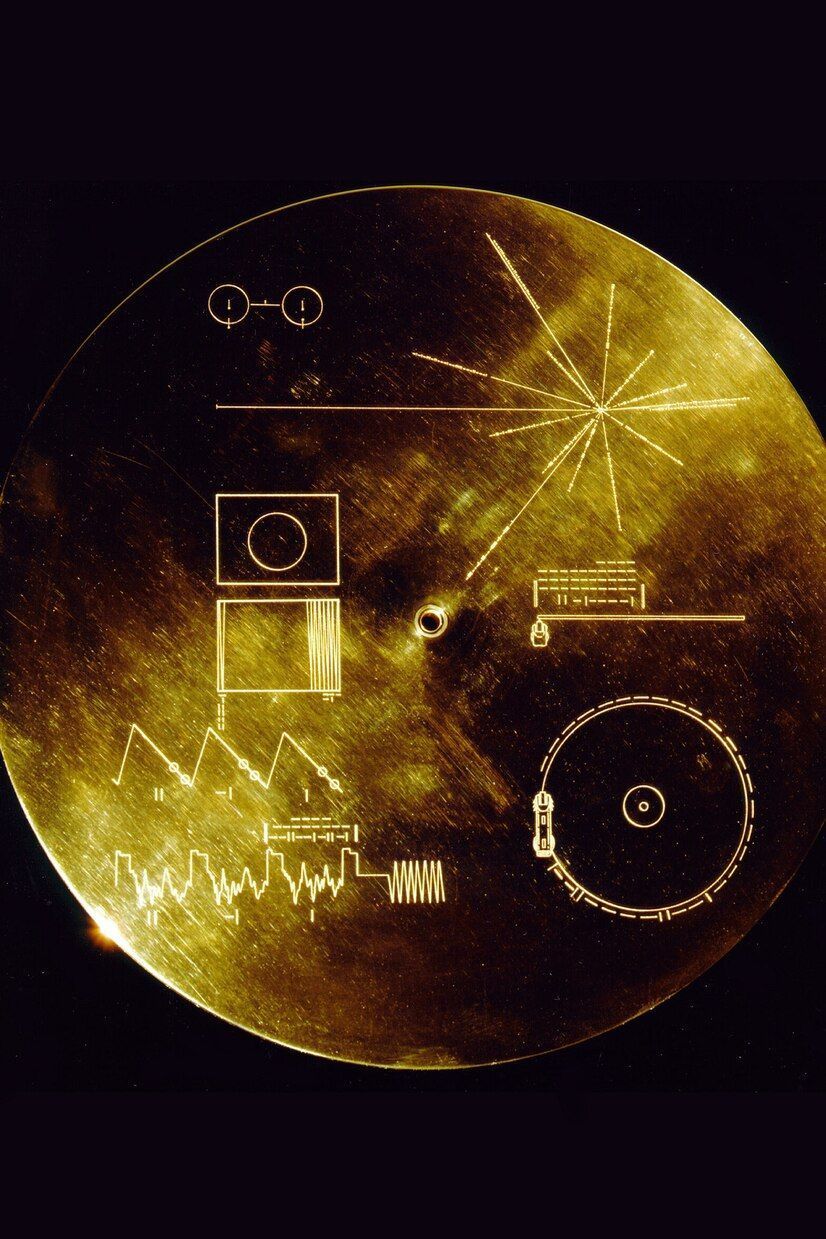 826x1239 Dear Voyager 1 and 2: Ann Druyan on the spacecraft's epic journey
