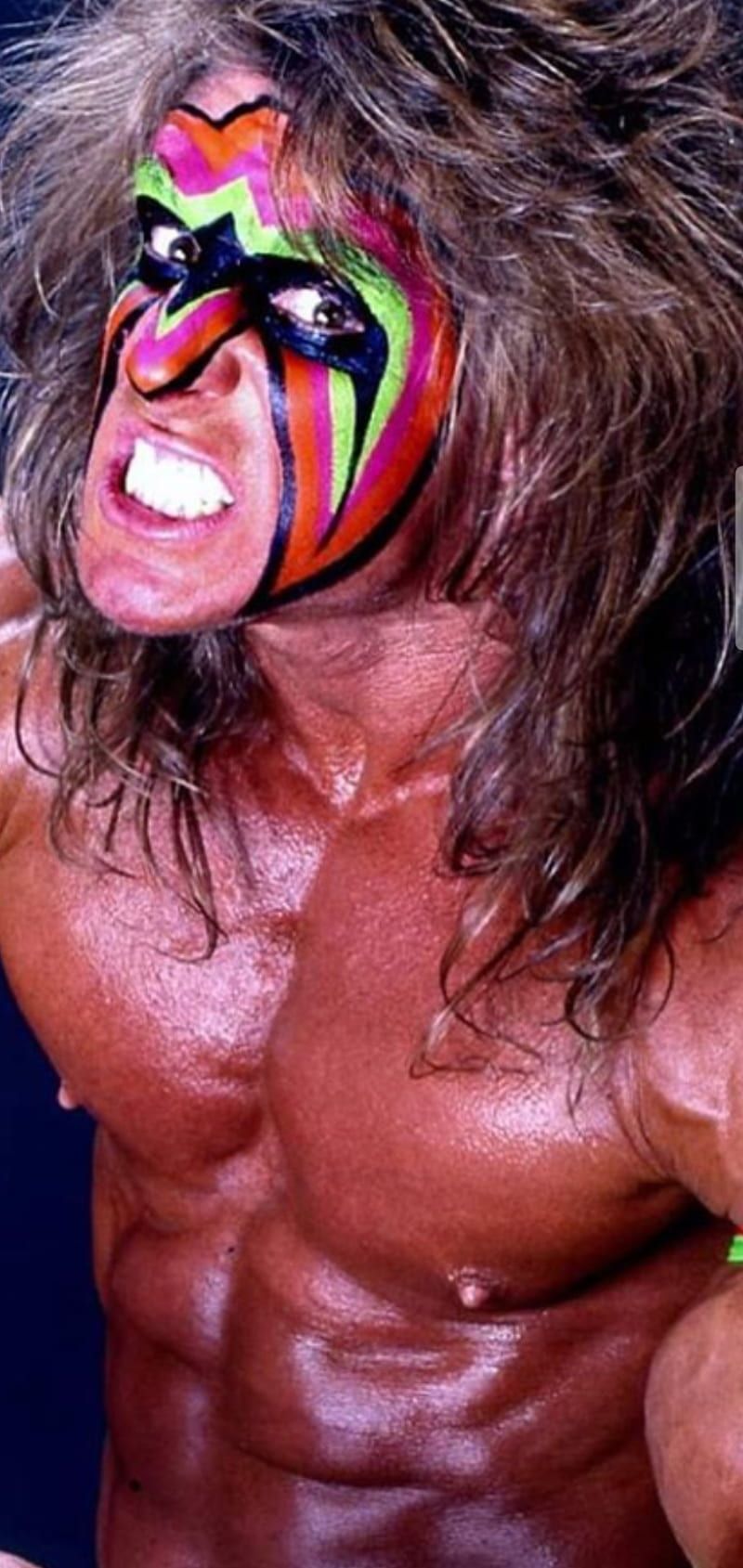 800x1689 HD ultimate warrior wallpaper