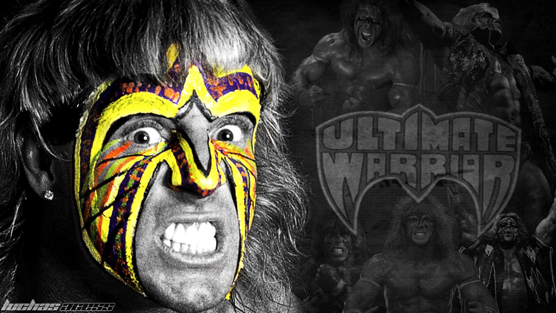 1920x1080 Wallpaper Ultimate Warrior 2014