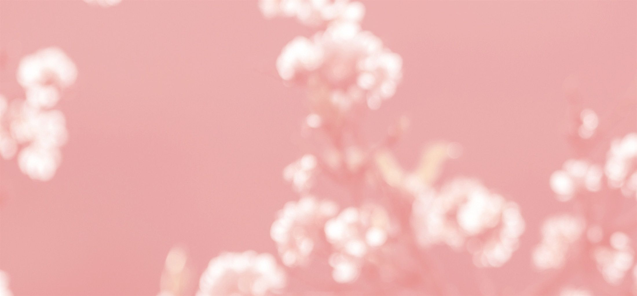 2200x1022 Gynecology in Austin. Gynecologist in Austin, TX