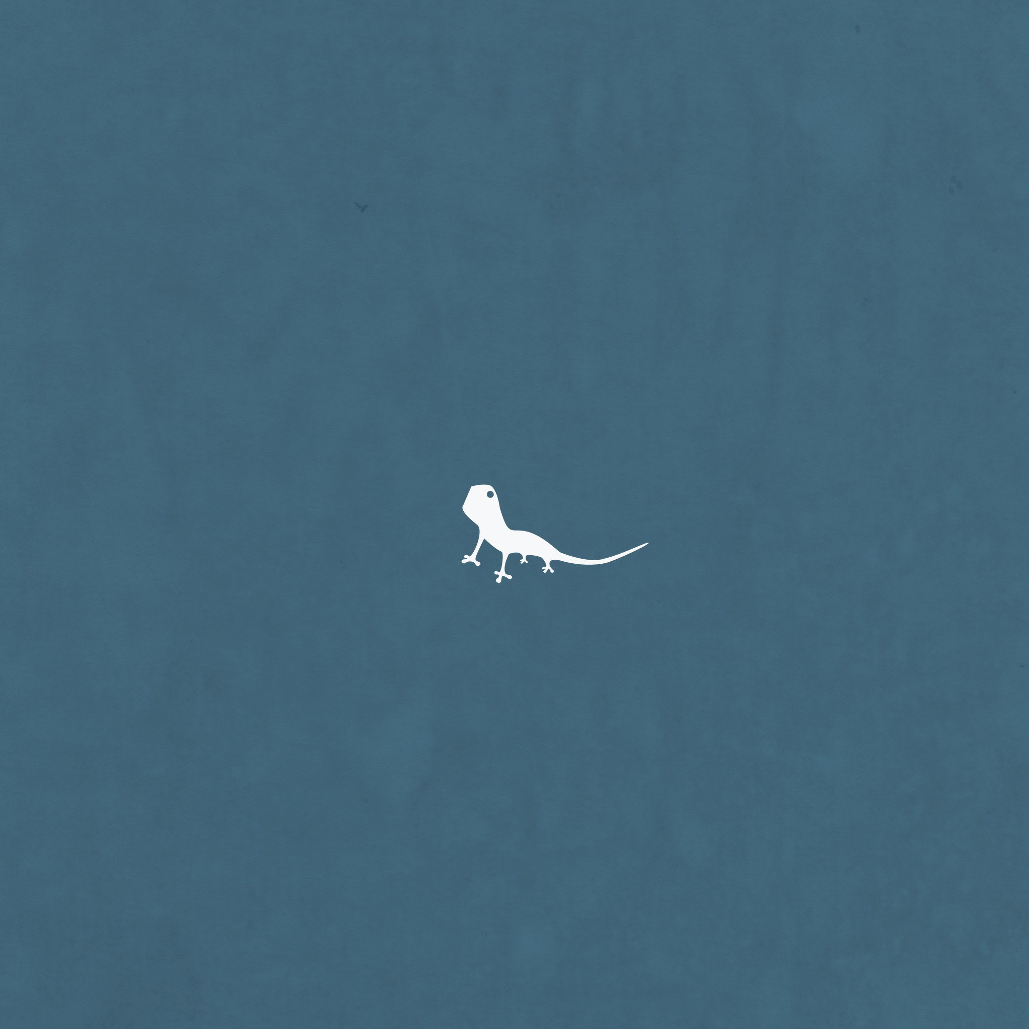 2048x2048 Free download Some Visual Lizard iPad Wallpaper An Article Posted On The Official [2048x2048] for your Desktop, Mobile & Tablet. Explore Create iPad Lock Screen Wallpaper. Funny iPad Lock