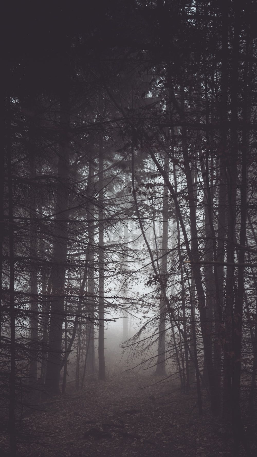 1000x1778 Creepy Wallpaper: Free HD Download [HQ]