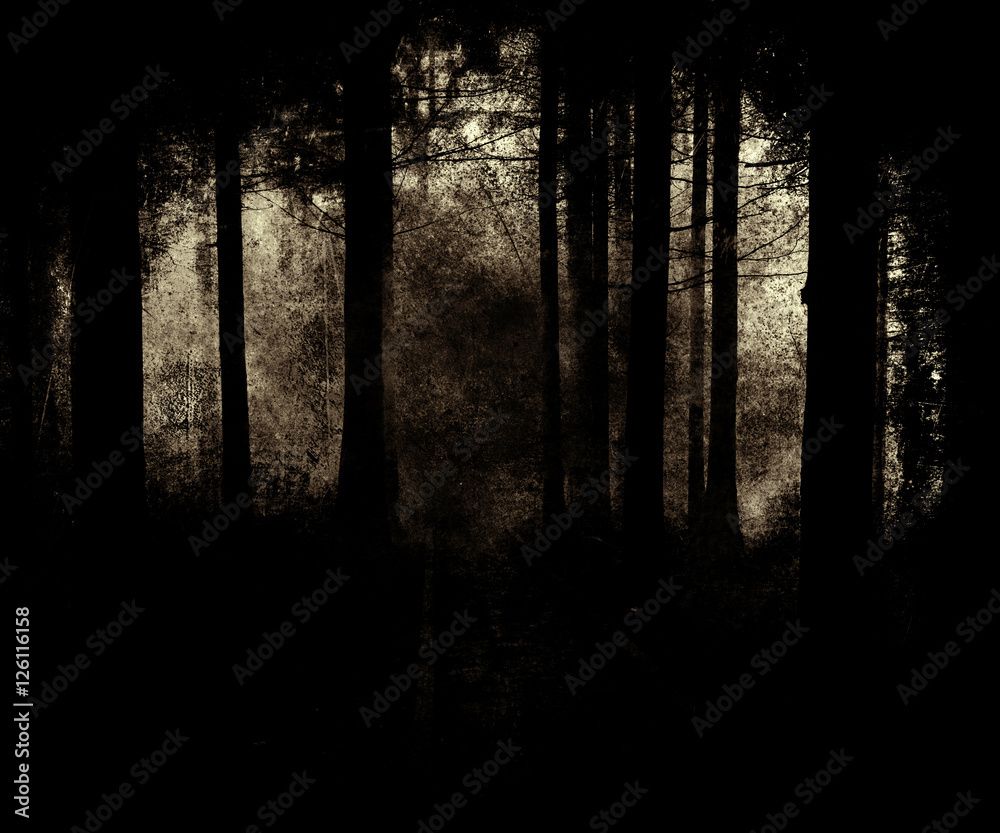 1000x833 Grunge Abstract Scary Halloween Forest Wallpaper