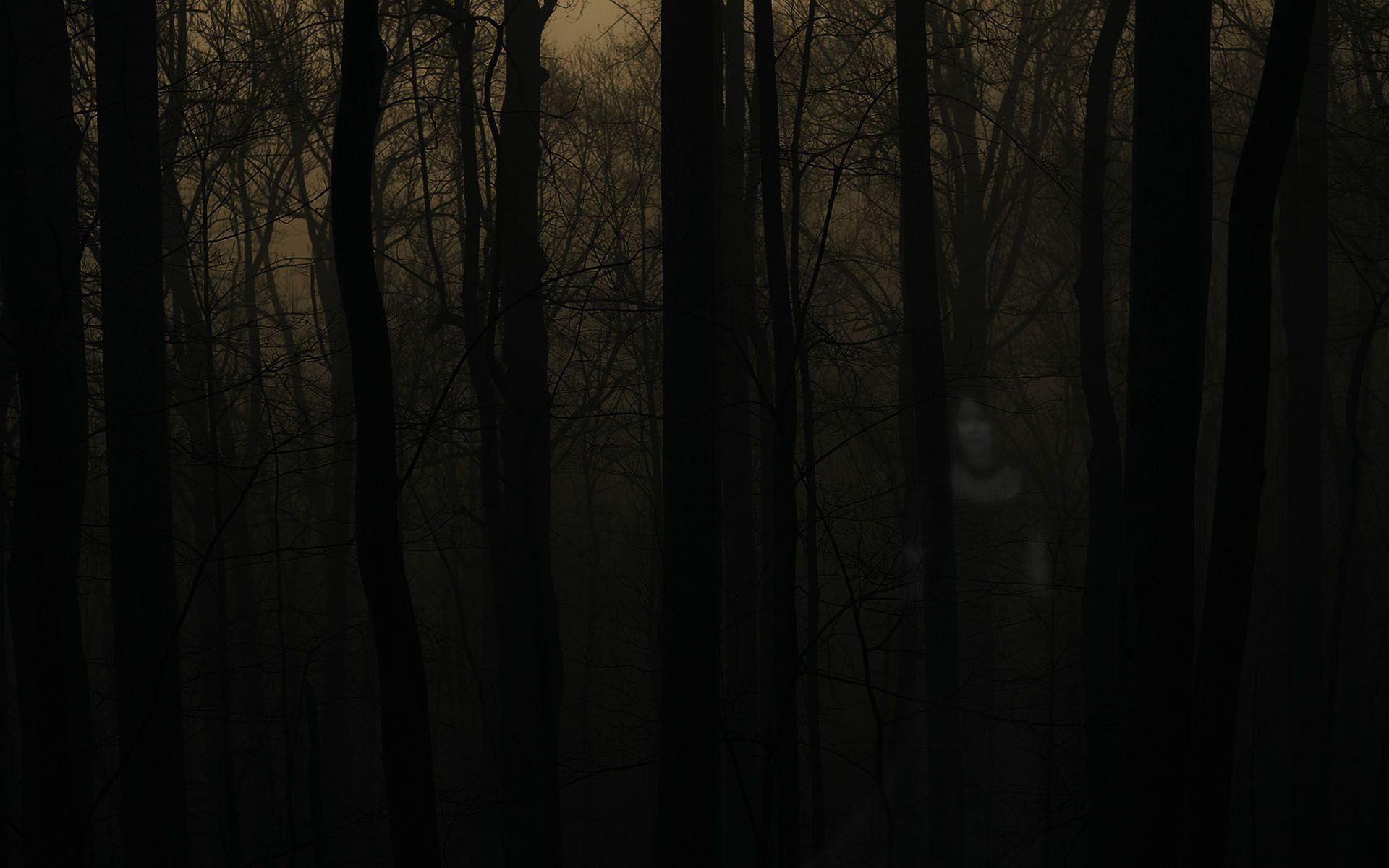 1920x1200 Haunted Forest Wallpaperx1200