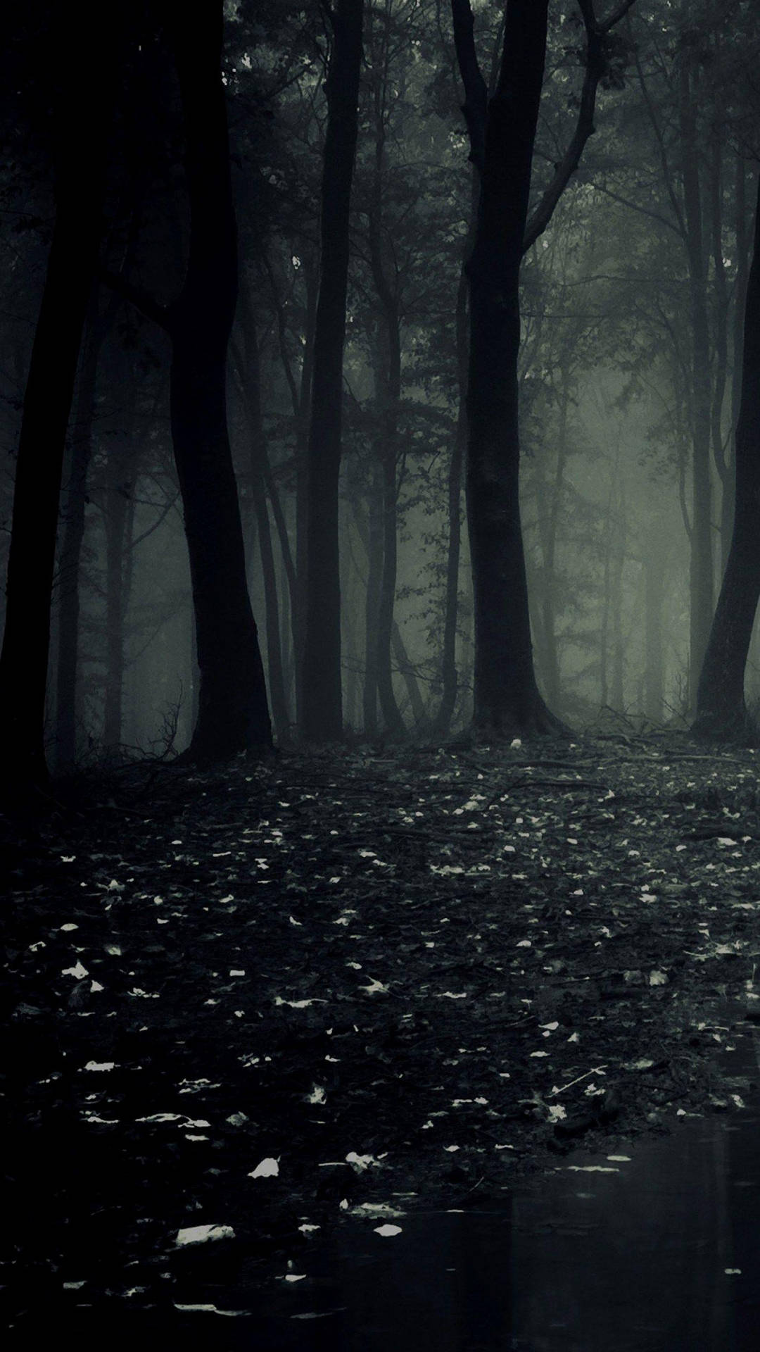 1080x1920 Download Dark Phone Scary Woods Wallpaper