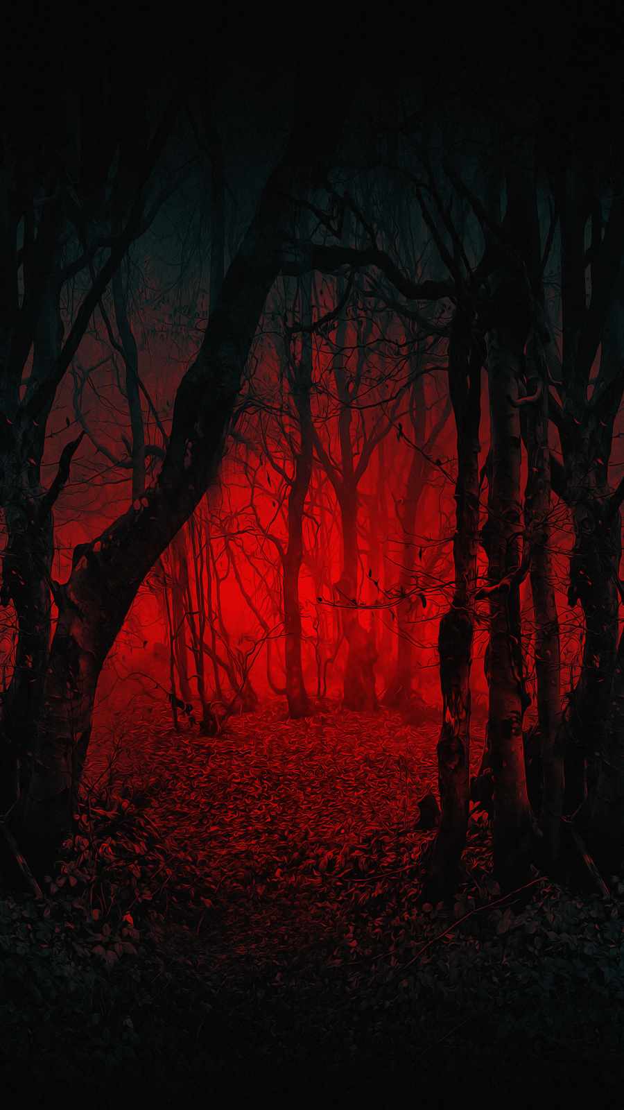 900x1600 Scary Forest iPhone Wallpaper
