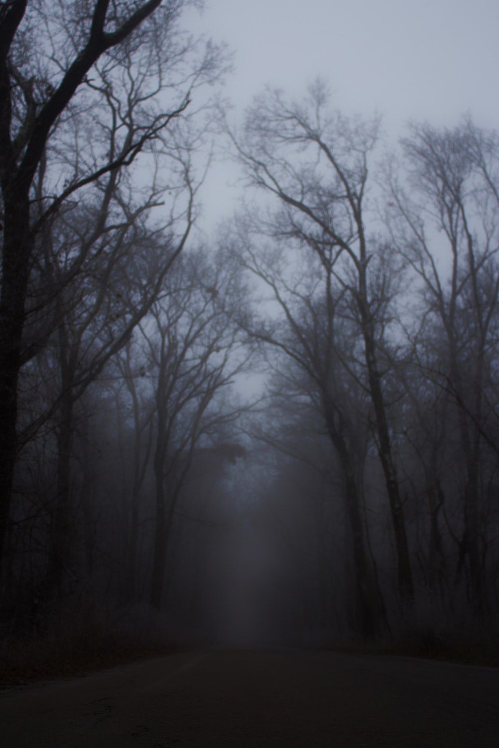 1000x1500 Horror Forest Wallpaper