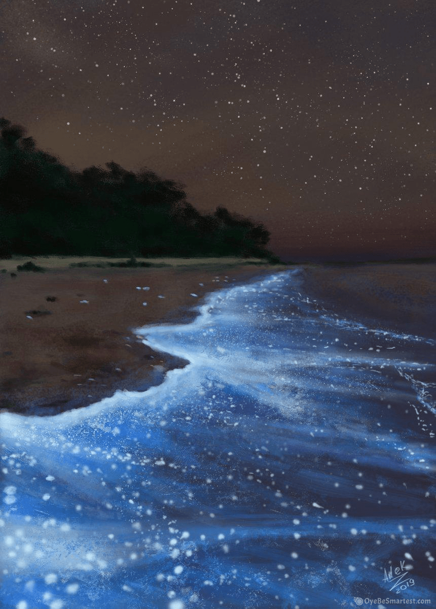 Sea of Stars Wallpapers - Top Free Sea of Stars Backgrounds