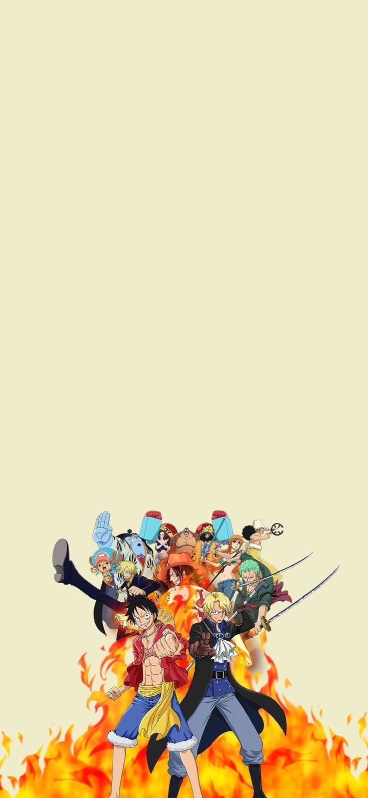 736x1593 Luffy's Crew Wallpaper