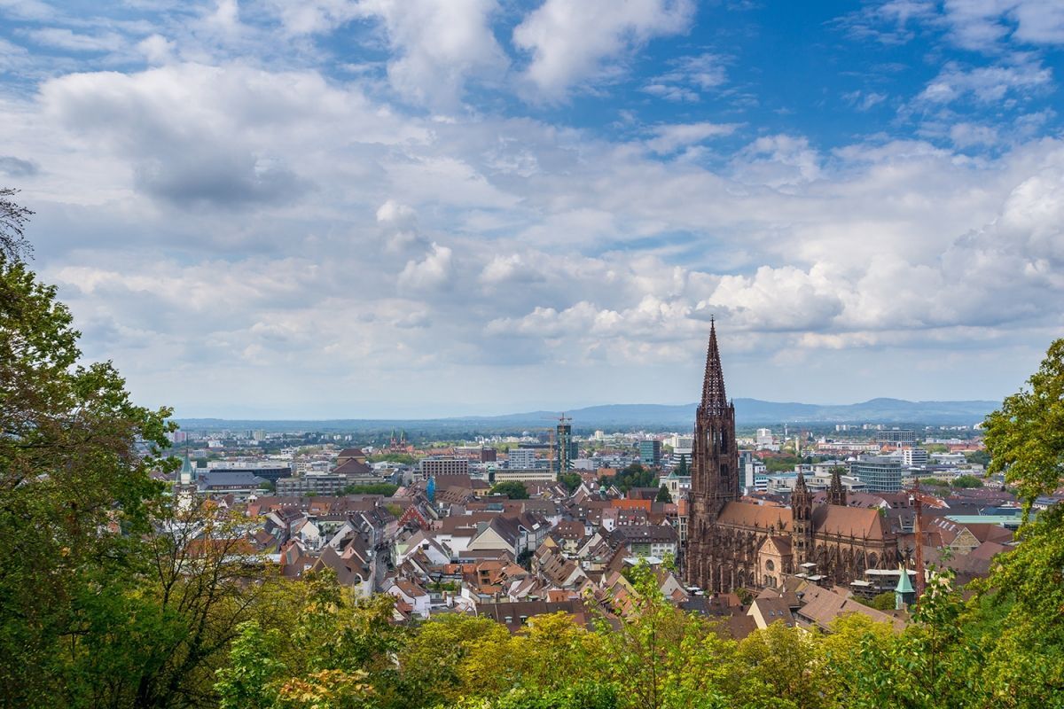 1200x800 PhD positions at Freiburg University. European Forest Institute