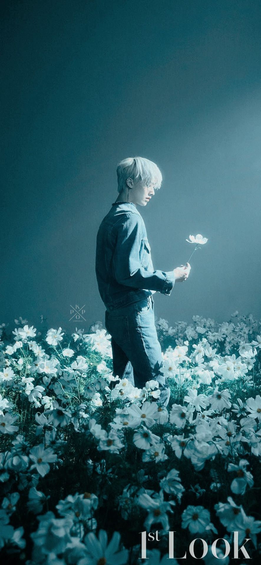 886x1920 Kpop Locks