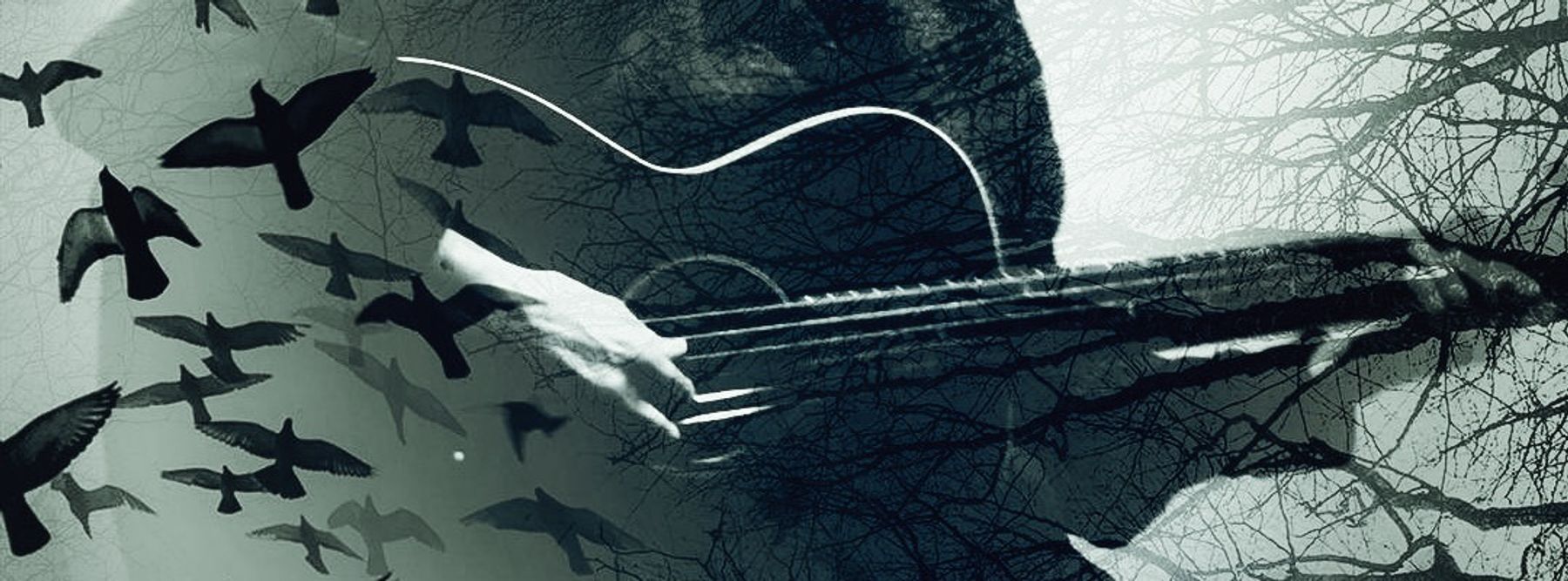 1800x667 Laura Silverstein, Guitarist