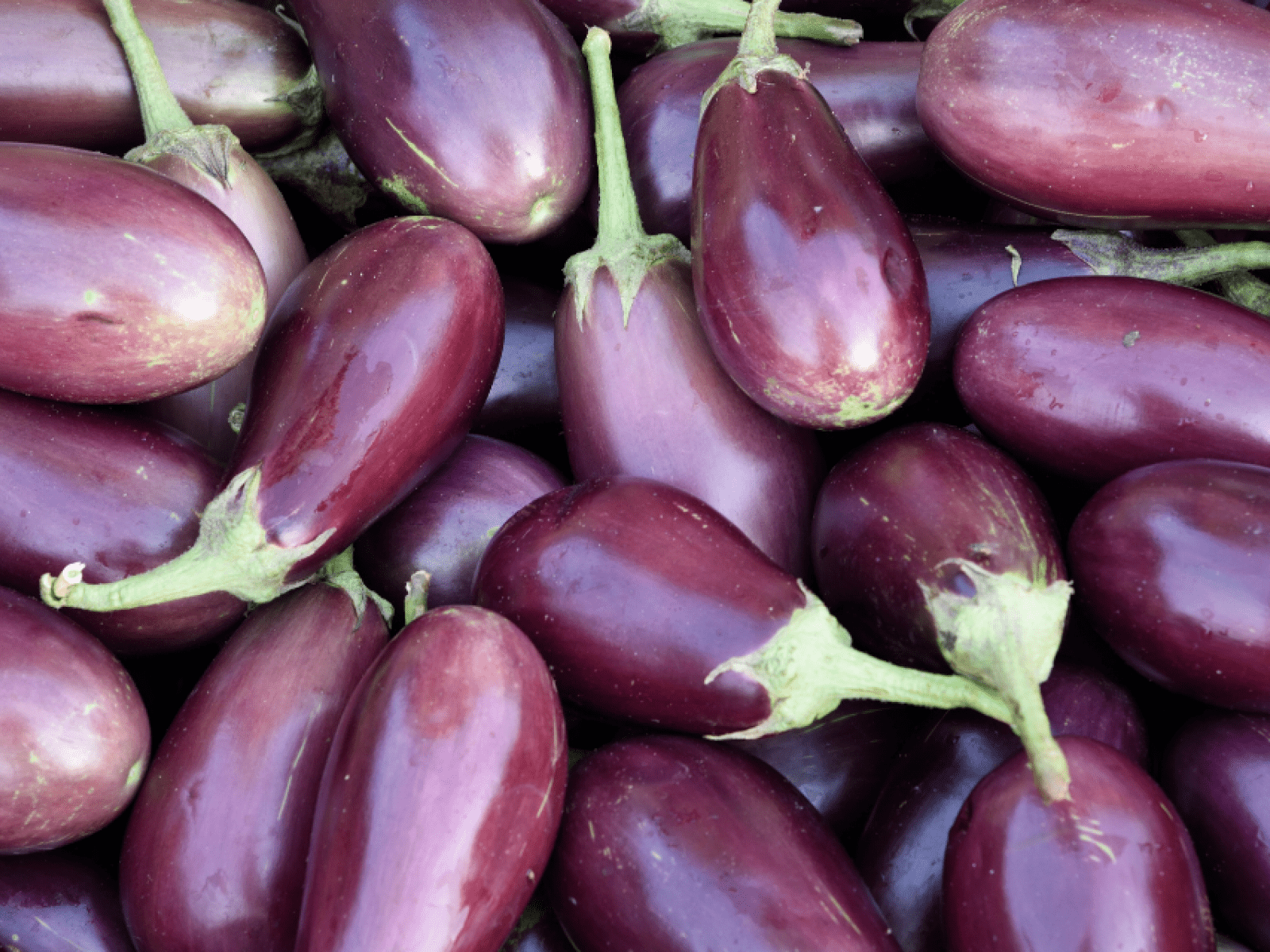 1600x1200 How to cook eggplant