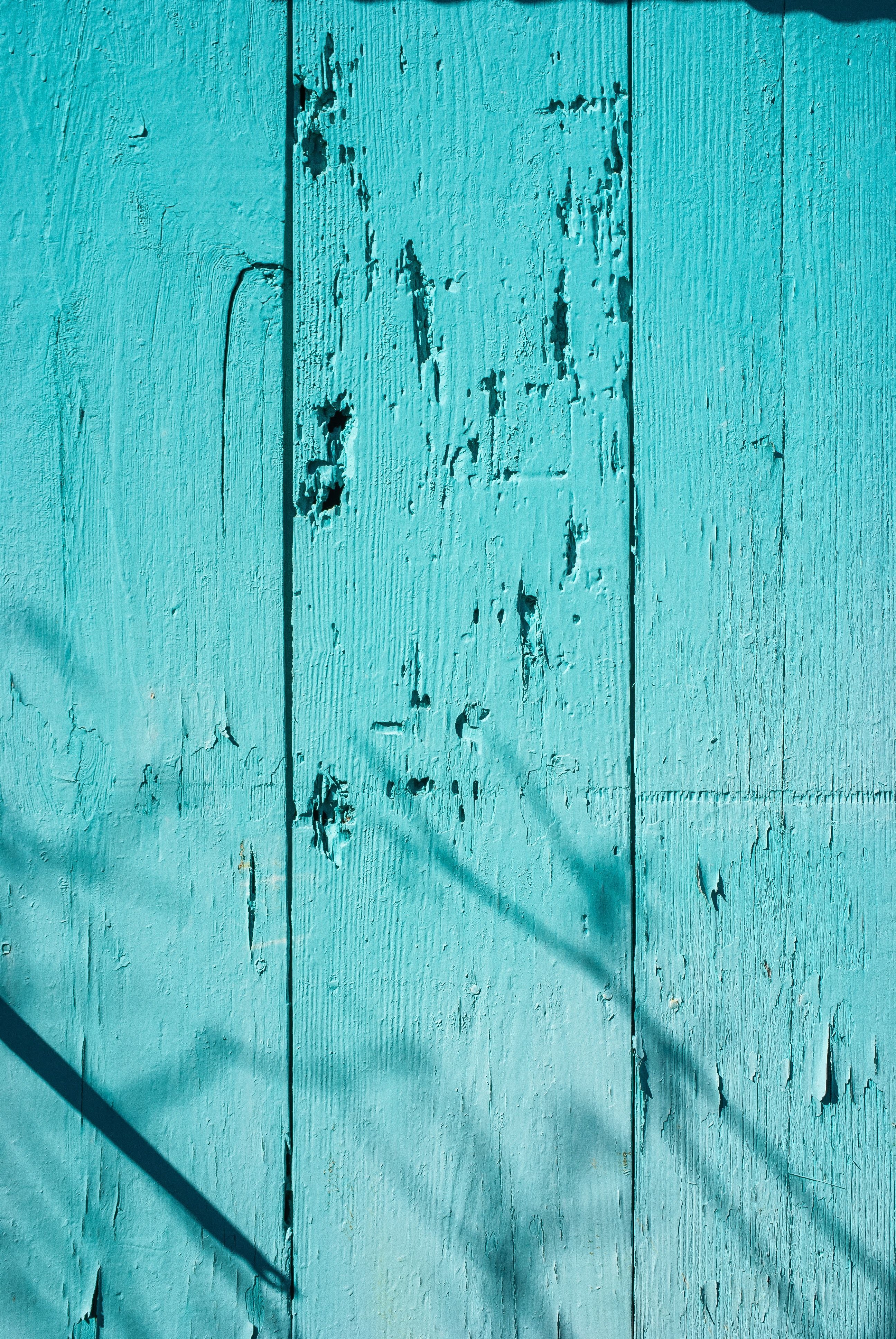2592x3872 Teal Photo, Download The BEST Free Teal & HD Image