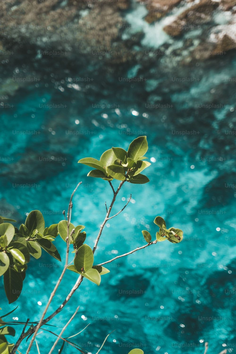 1000x1500 Blue Green Picture [HD]. Download Free Image