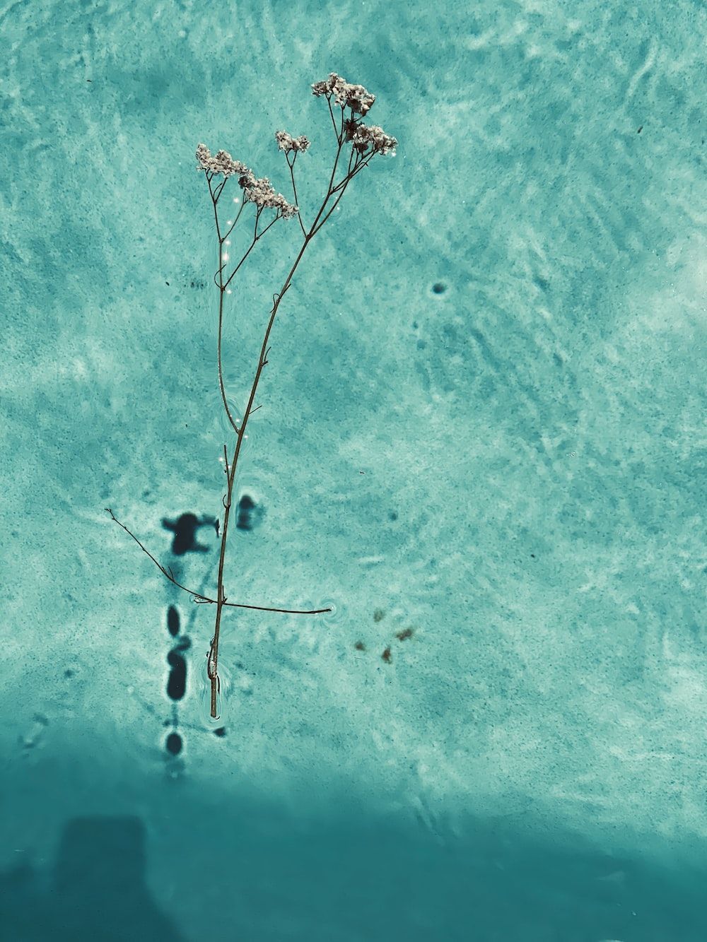 1000x1333 Teal Wallpaper: Free HD Download [HQ]