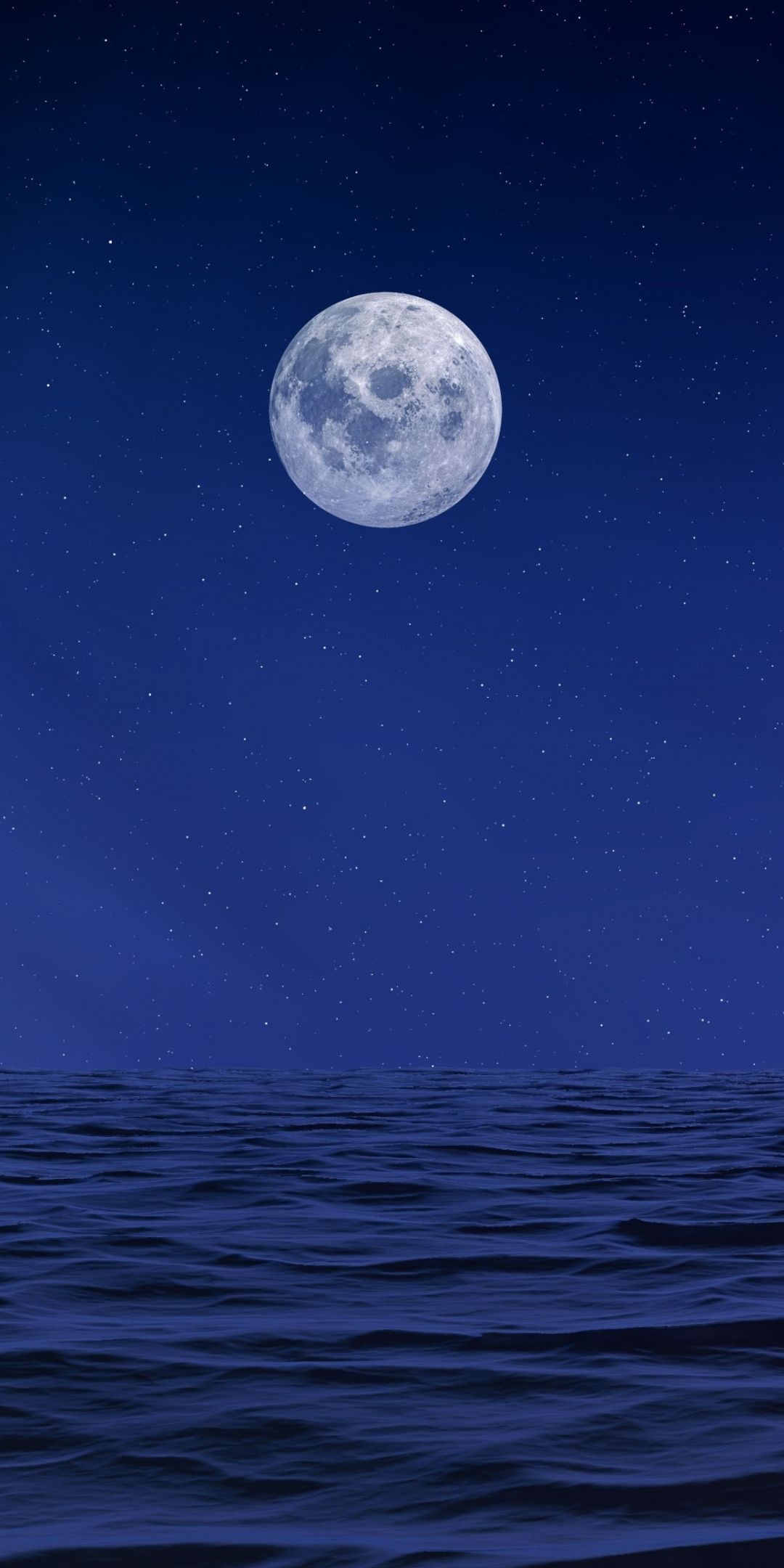 1080x2160 Background