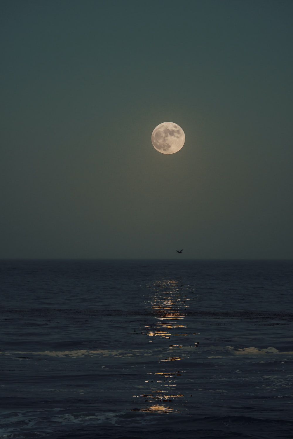 1000x1500 Moon Water Picture. Download Free Image