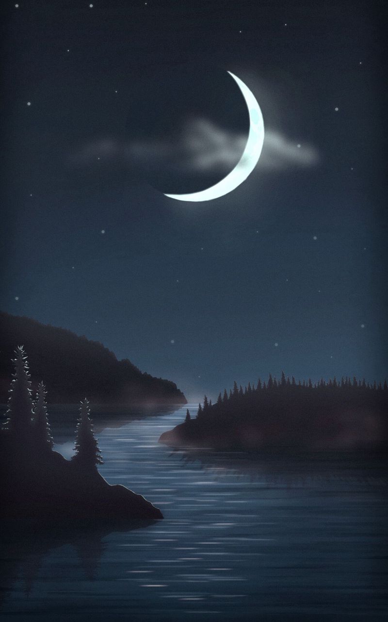 800x1280 Download Wallpaper 800x1280 Night, Moon, Water, Forest, Art Samsung Galaxy Note Gt N Meizu Mx2 HD Background