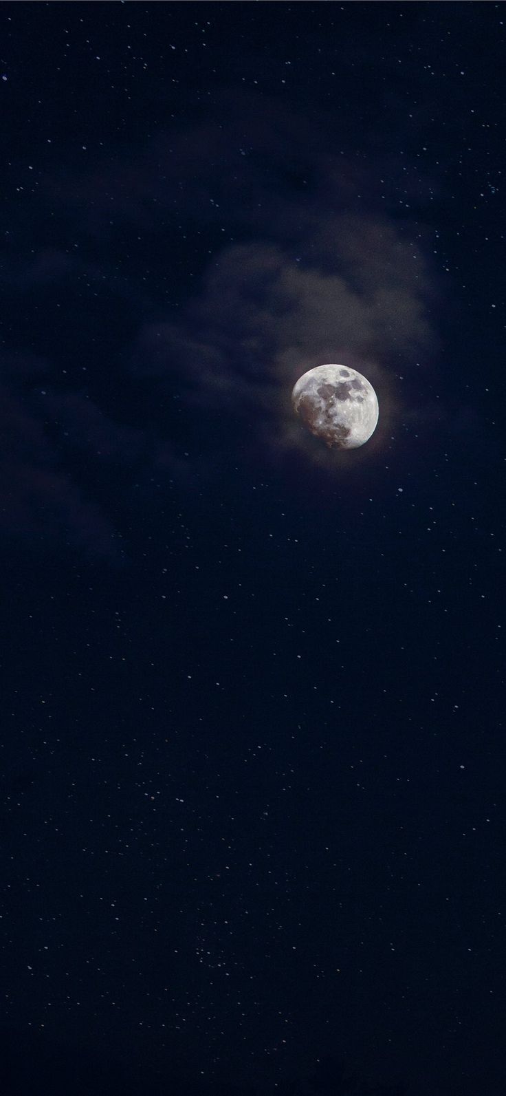 736x1593 Wallpaper