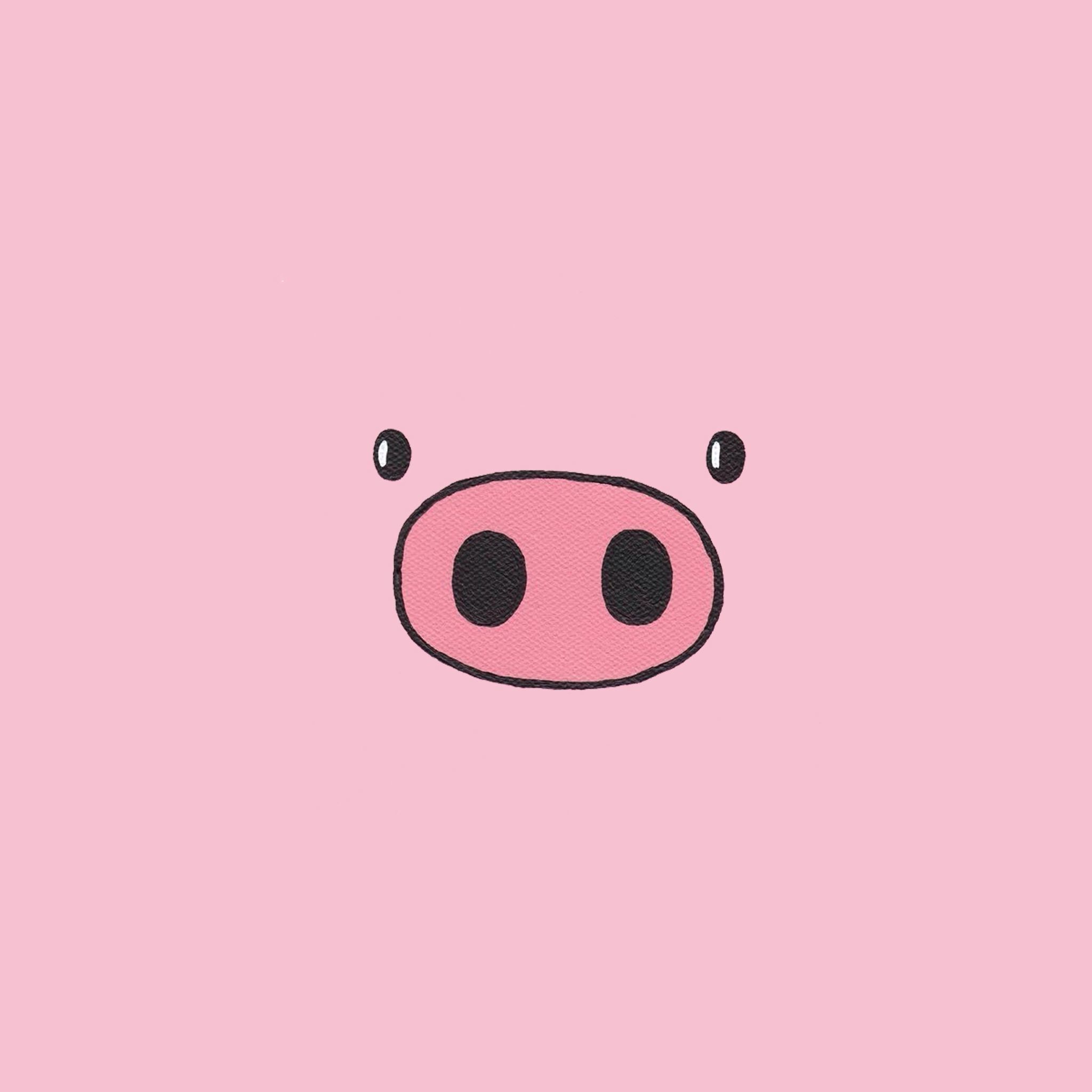 2048x2048 Kawaii Pig Wallpaper