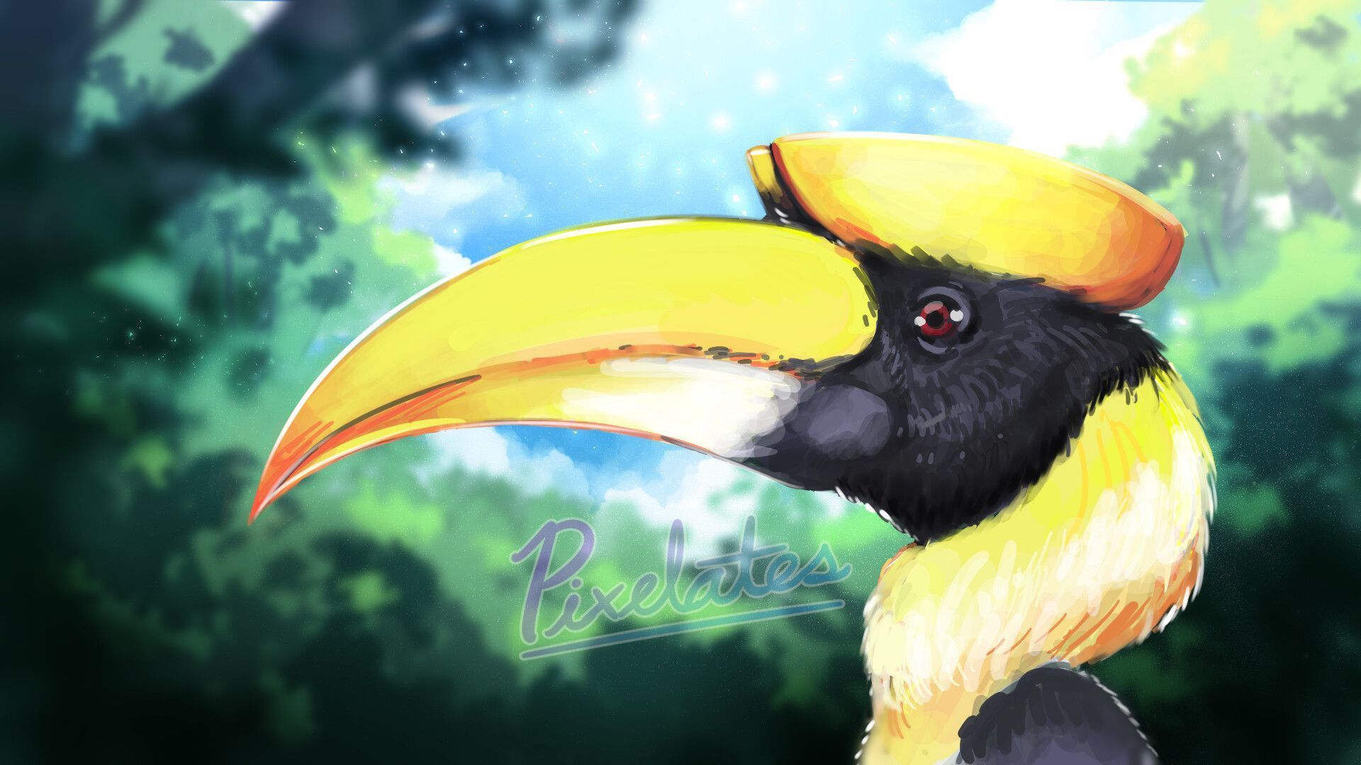 1920x1080 Hornbill
