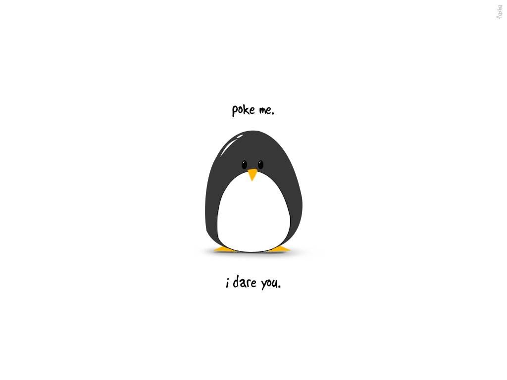 1024x768 Funny Wallpaper 12 - [1024x768]