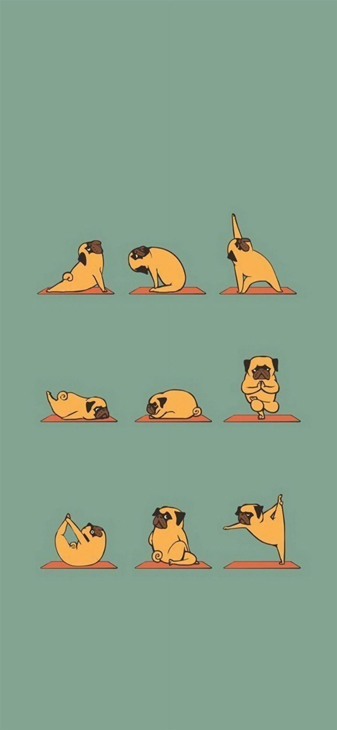 1125x2436 Funny Pug Doing Yoga iPhone Wallpaper Free Download