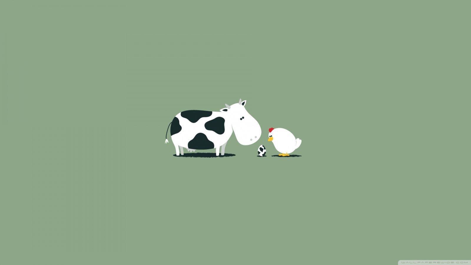 1600x900 Funny Cow Egg Ultra HD Desktop Background Wallpaper for 4K UHD TV : Widescreen & UltraWide Desktop & Laptop : Tablet