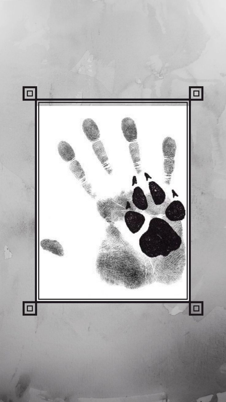 Therian Wallpapers - Top Free Therian Backgrounds - WallpaperAccess