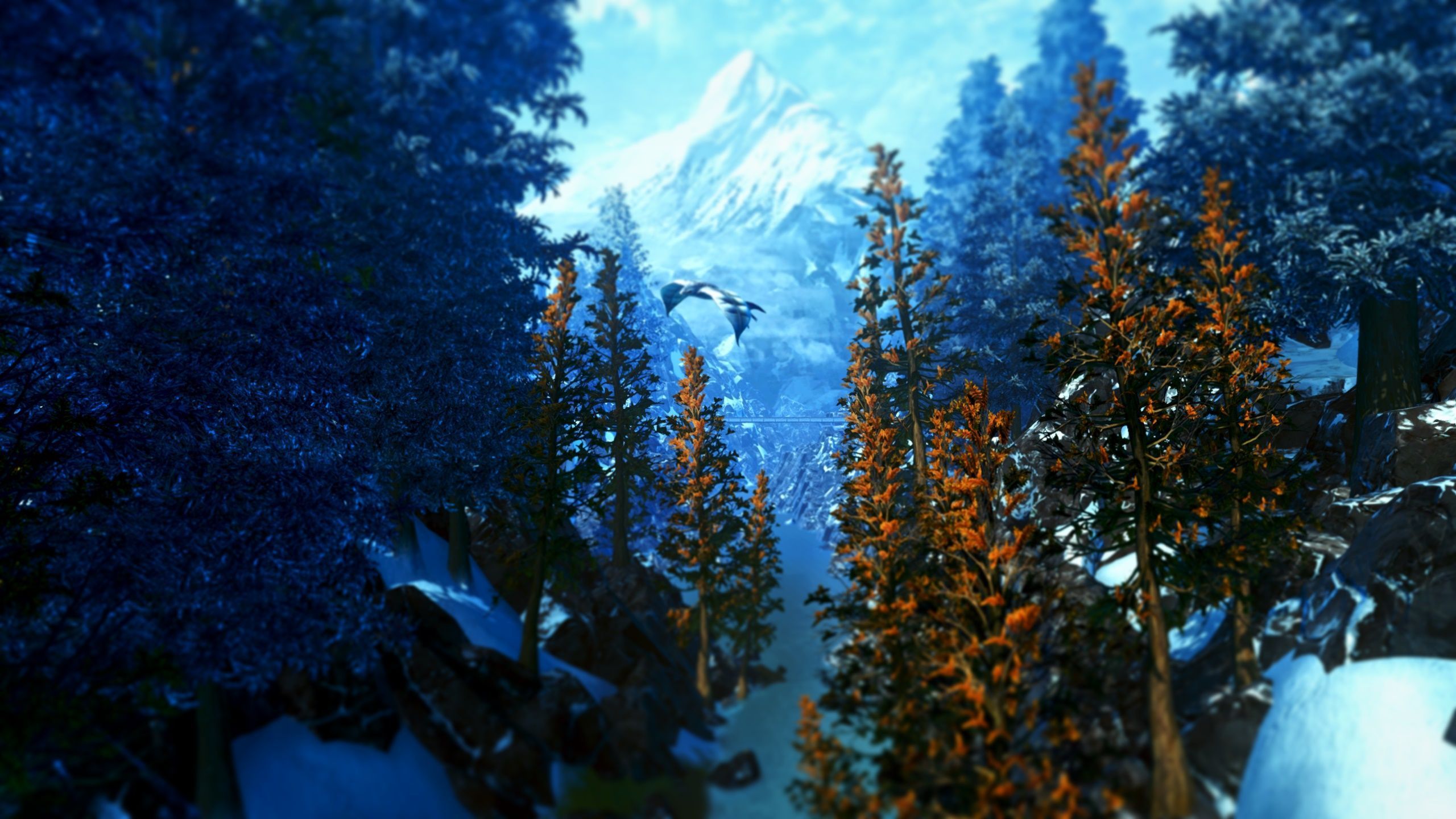 2560x1440 The Beauty of Alderaan