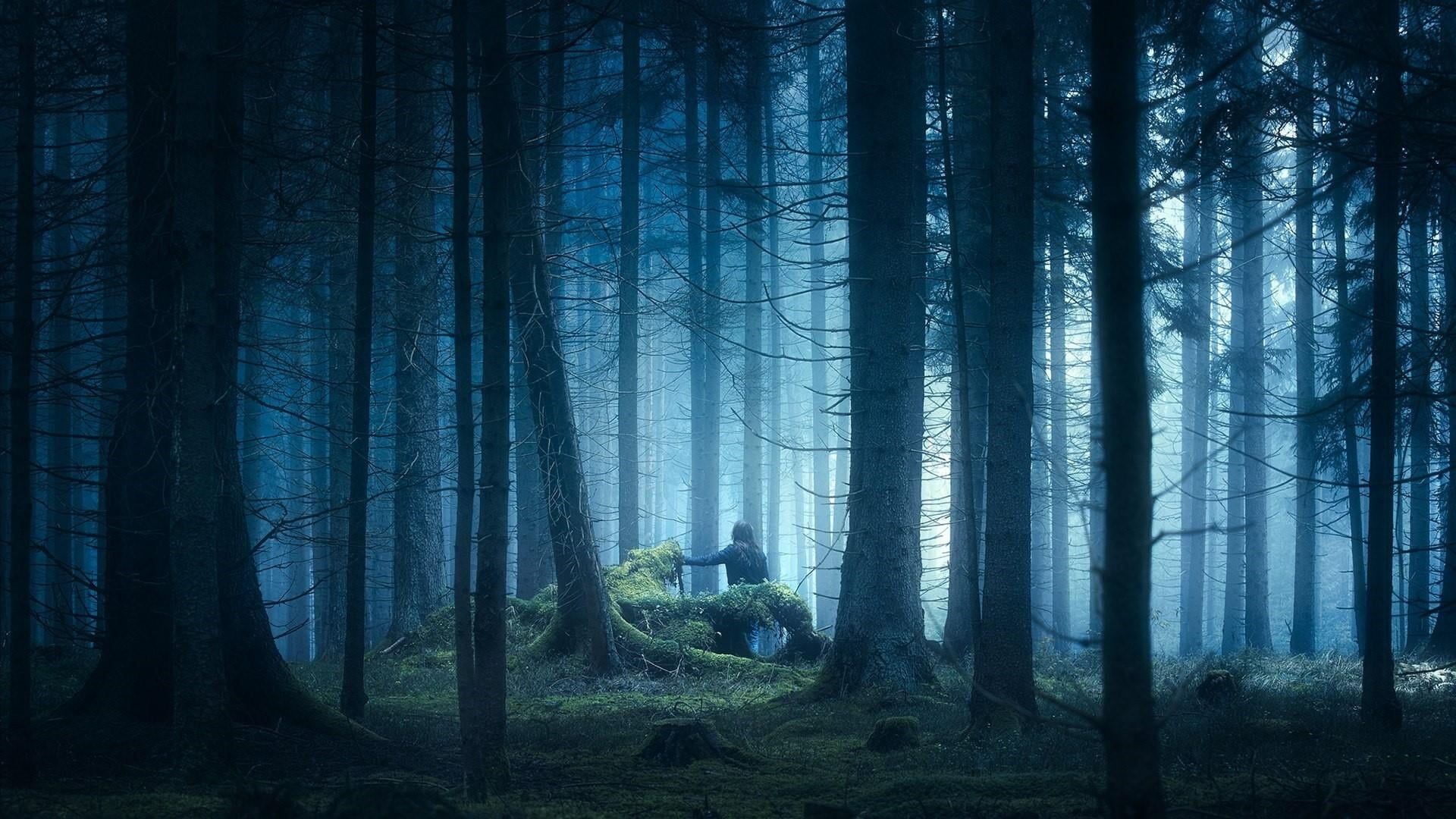 Лесные сумерки. Темный лес Twilight Forest. Сумерки Вайб лес. Темный лес Твайлайт Форест. Мшистый лес Форкс.