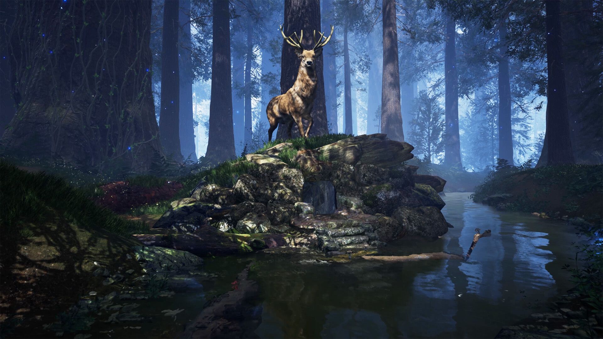 1920x1080 Twilight Forest