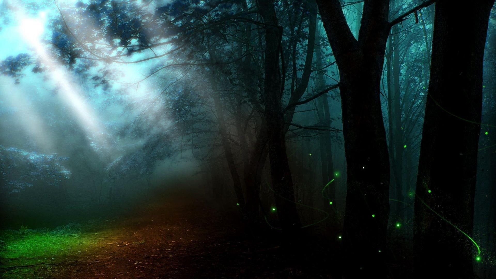 1920x1080 Wallpaper / dreamy, 1080P, glowworm, forest, light, nature, twilight, dreamland, firebug, tree, woodland, firefly, darkness free download