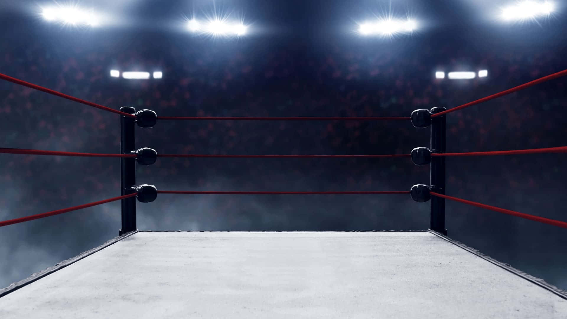 1920x1080 Download Image A Professional Wrestling Ring Under the Spotlights