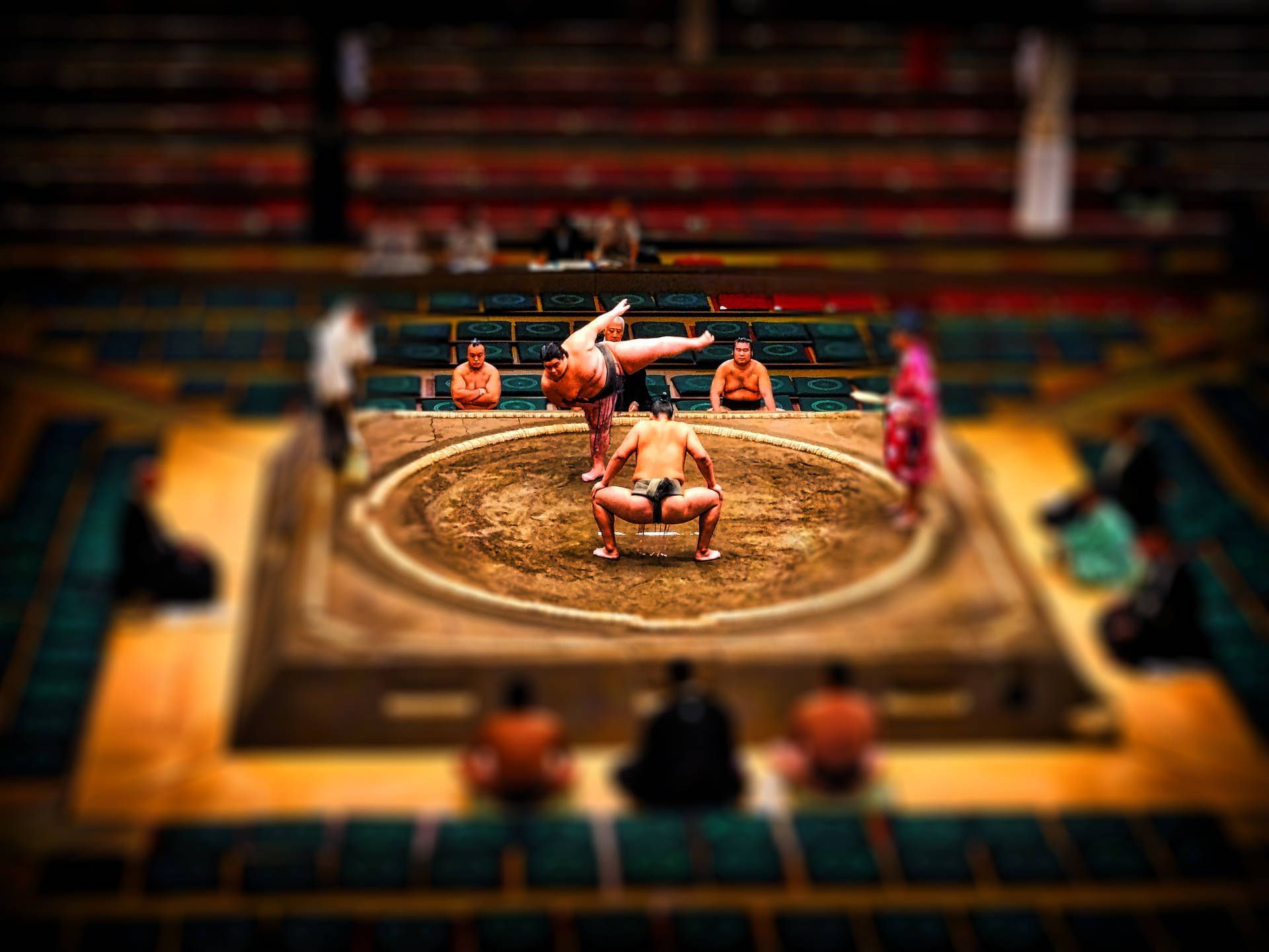 1920x1440 + Wrestling Wallpaper Full HD, 4K✓Free to Use